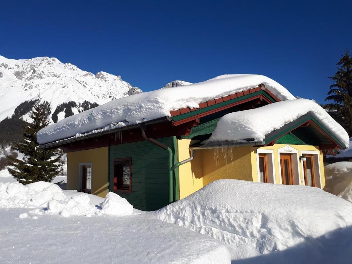 Ramsauer Sonnenalm Βίλα Ramsau am Dachstein Εξωτερικό φωτογραφία